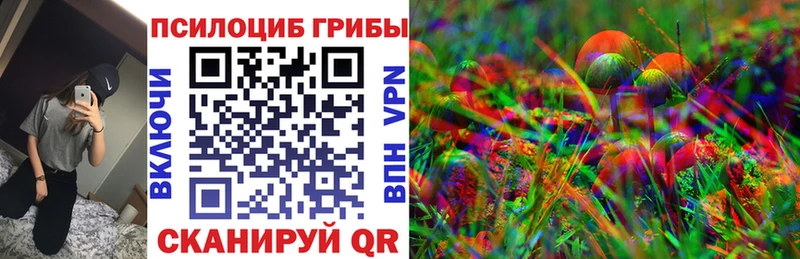 где можно купить наркотик Лермонтов Галлюциногенные грибы ЛСД